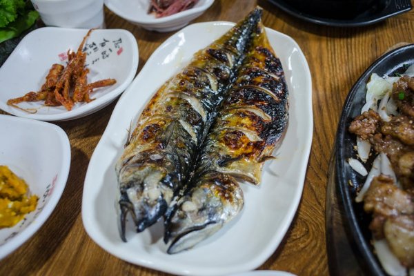 Fresh Fish – Mackeral
